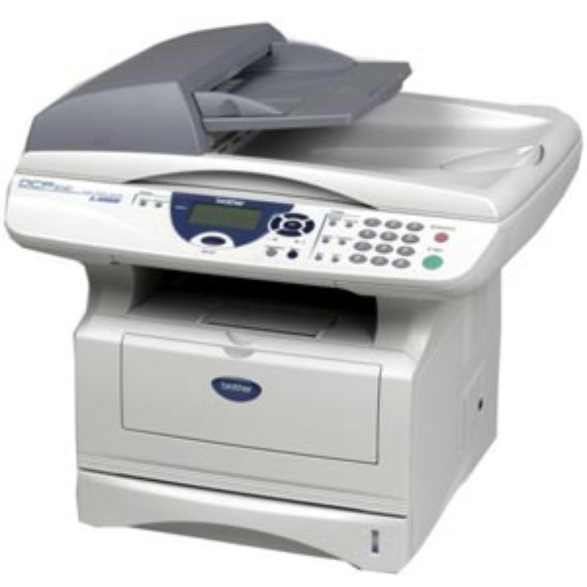 DCP8040.jpg