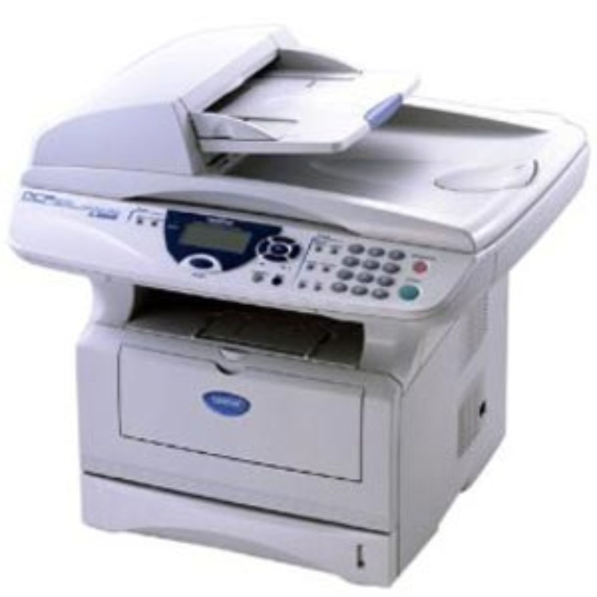 DCP8025D.jpg